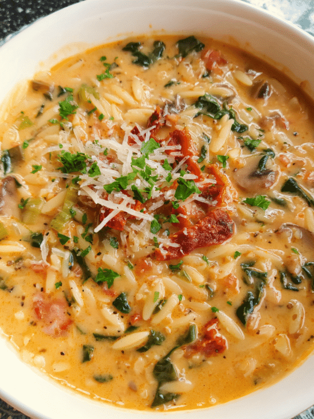 Chicken & Sun-Dried Tomato Orzo Soup served warm