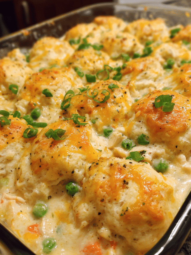 Chicken and biscuits casserole baked golden in a dish