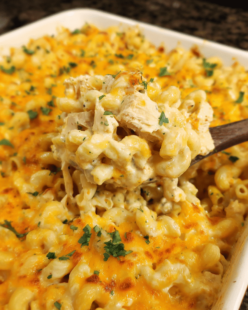 Baked cheesy chicken macaroni casserole in dish with golden topping