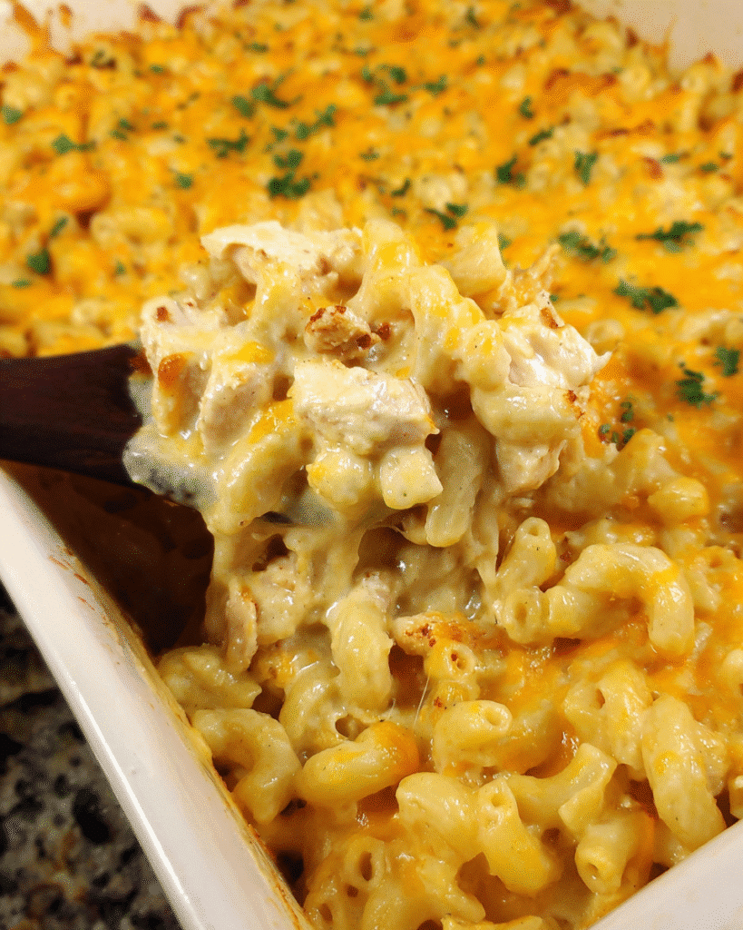 Baked cheesy chicken macaroni casserole in dish with golden topping