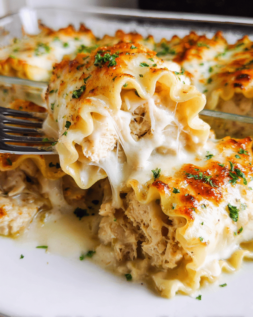 Chicken Alfredo Lasagna Rolls baked with cheese and creamy sauce