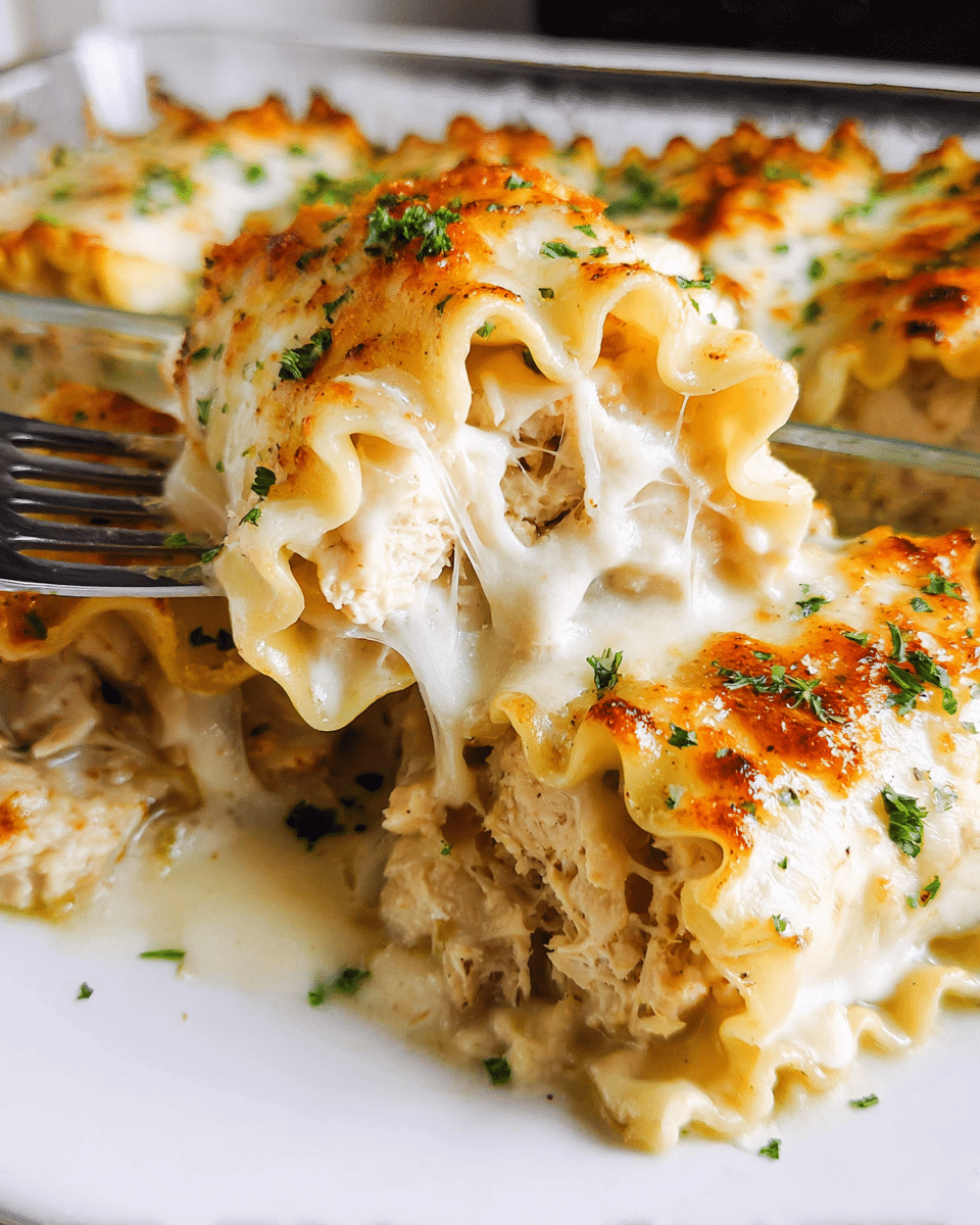 Chicken Alfredo Lasagna Rolls baked with cheese and creamy sauce