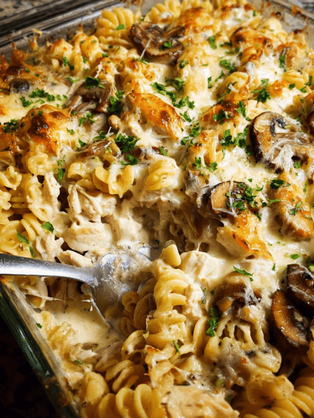 Creamy chicken alfredo pasta bake with melted cheese