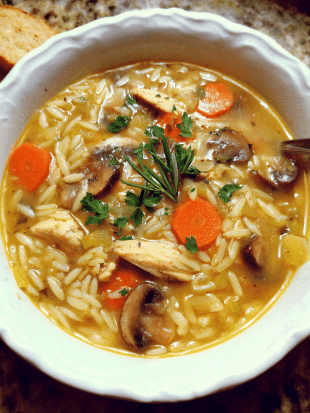 cropped-Creamy-Chicken-Mushroom-Orzo-Soup1.png