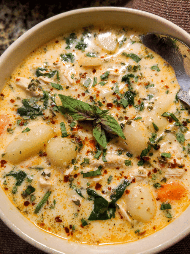 cropped-Creamy-Gnocchi-Chicken-Soup1.png