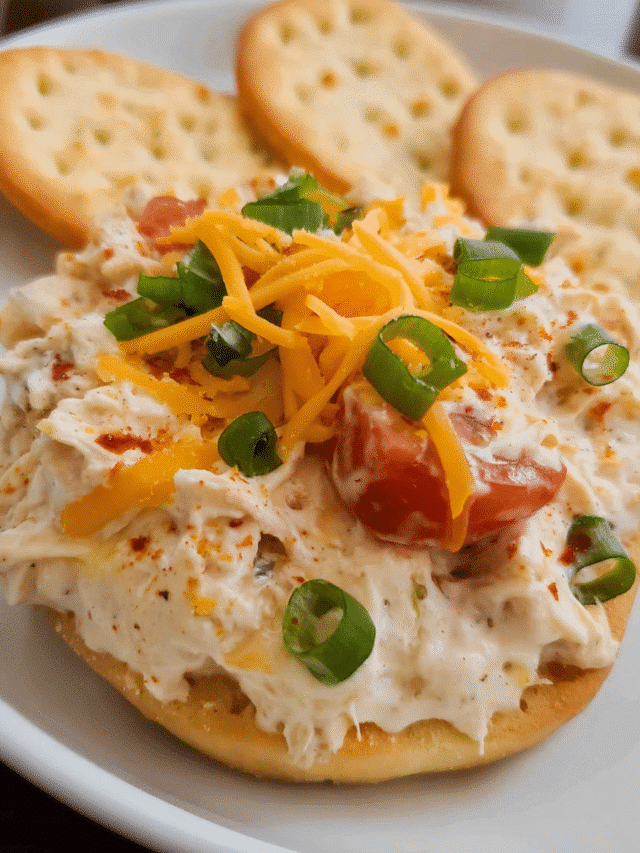 cropped-Ultimate-Loaded-Garlic-Chicken-Dip1.png
