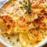 Golden baked creamy potato gratin with melted cheese